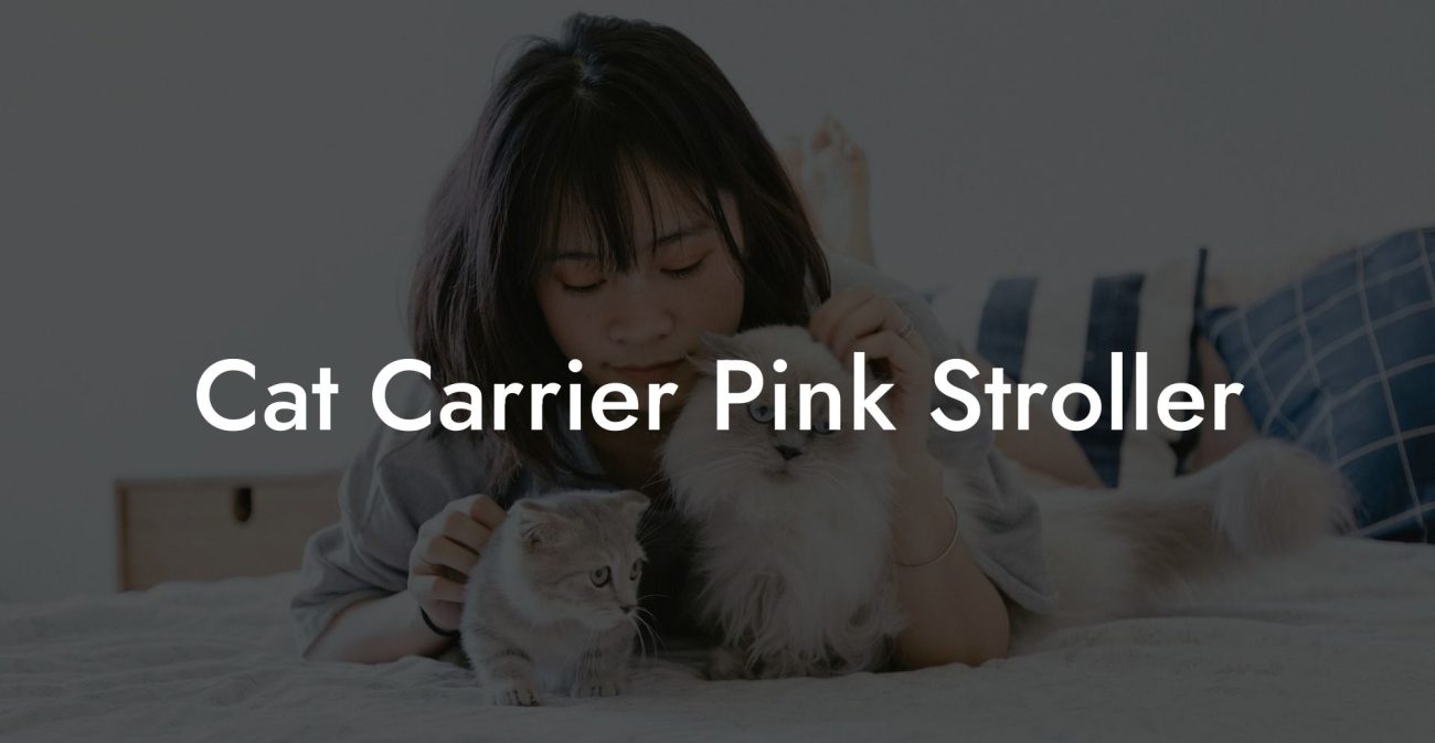 Cat Carrier Pink Stroller