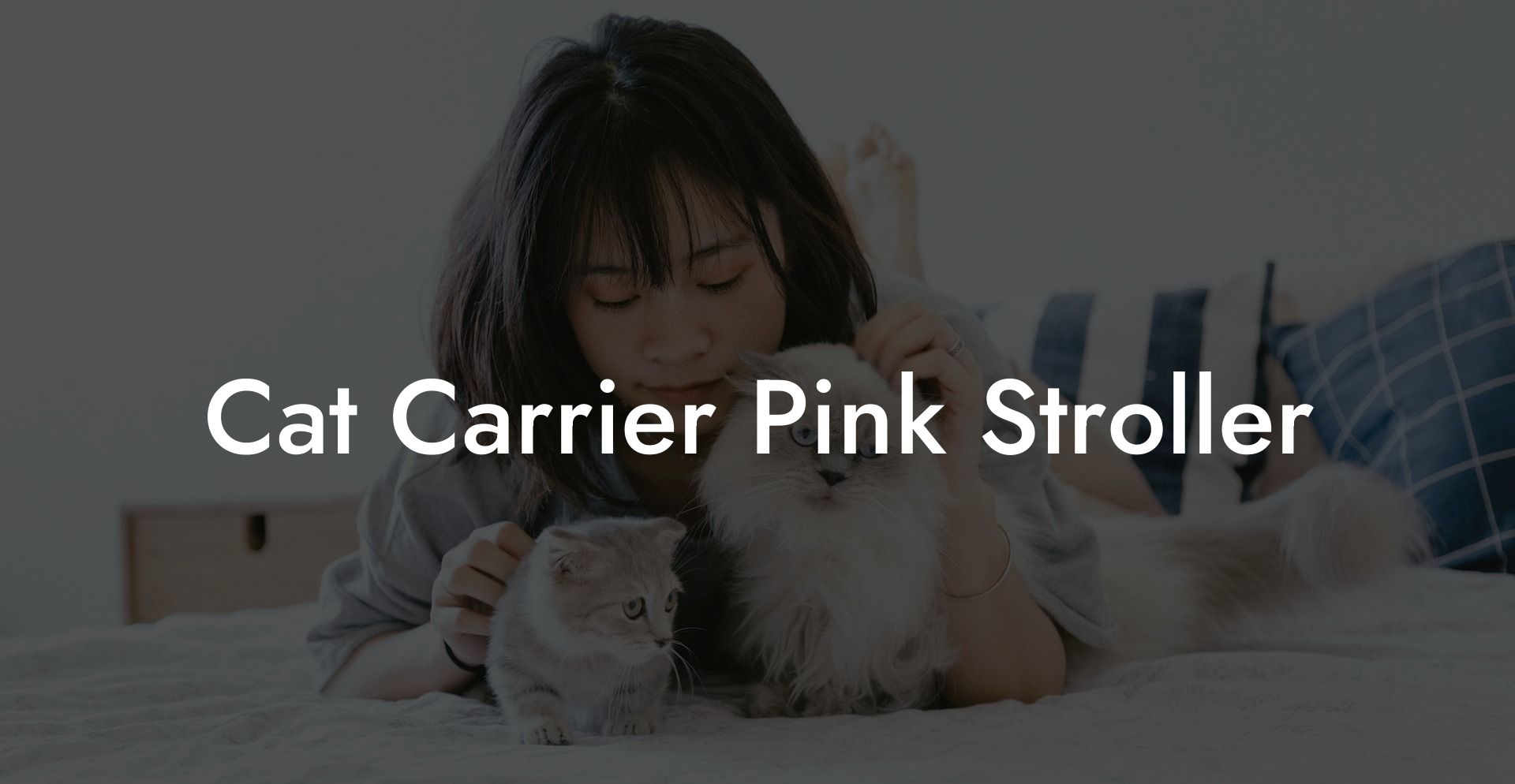 Cat Carrier Pink Stroller