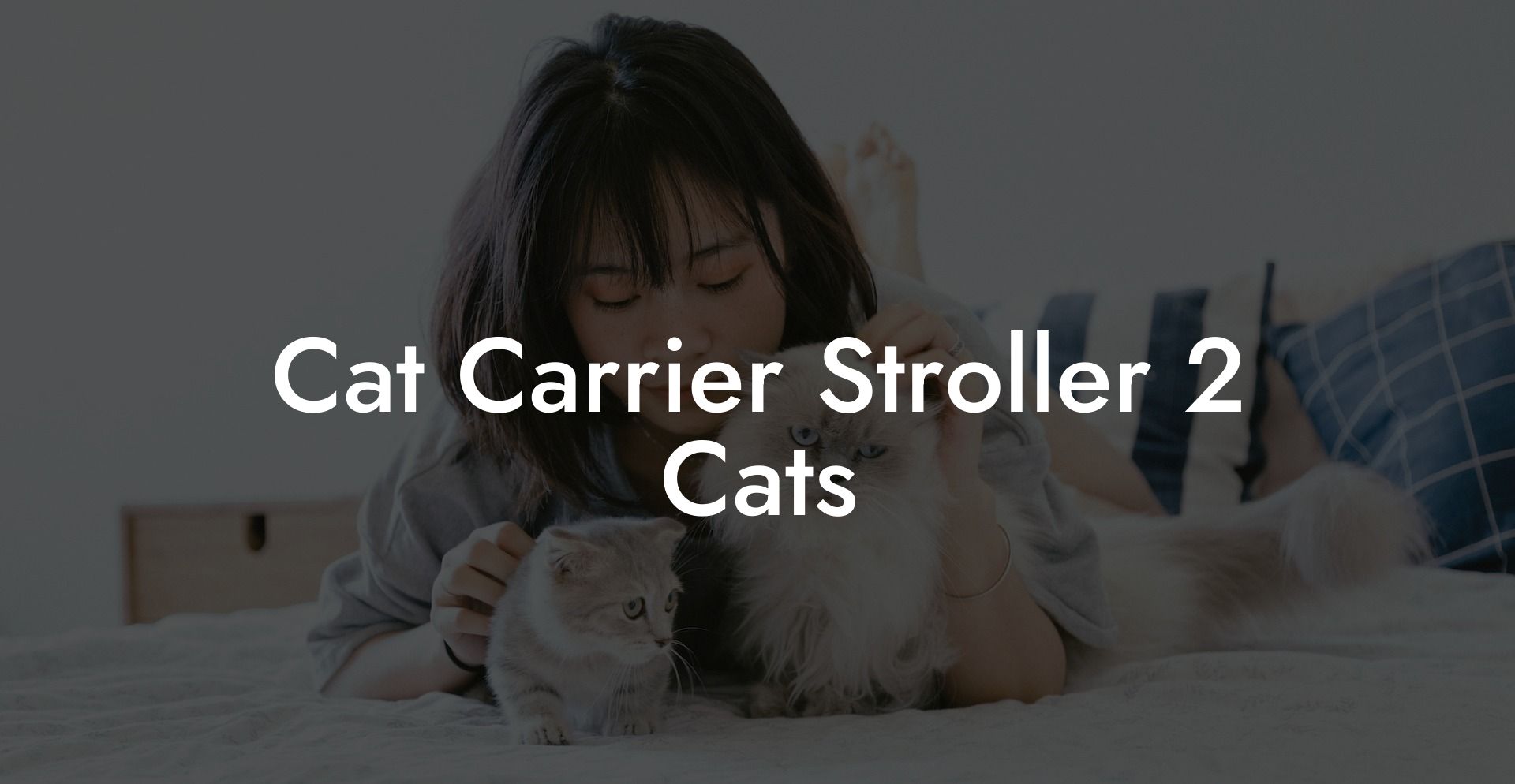 Cat Carrier Stroller 2 Cats