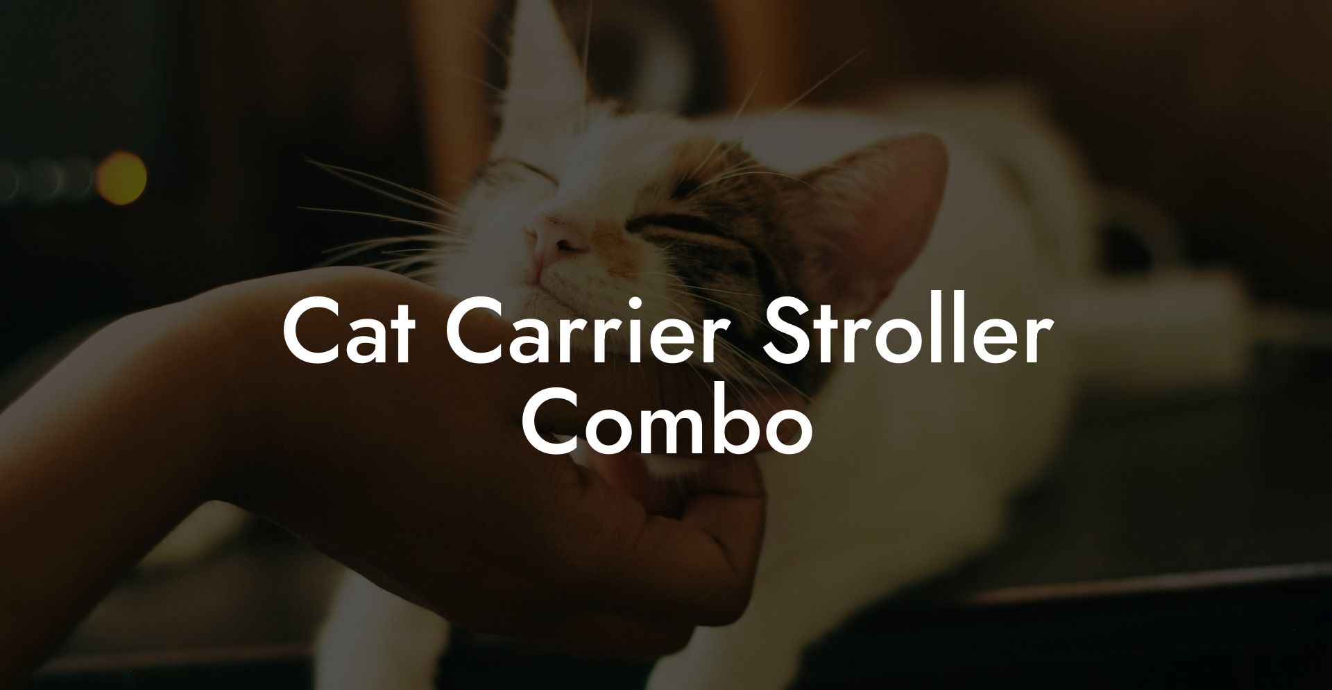 Cat Carrier Stroller Combo