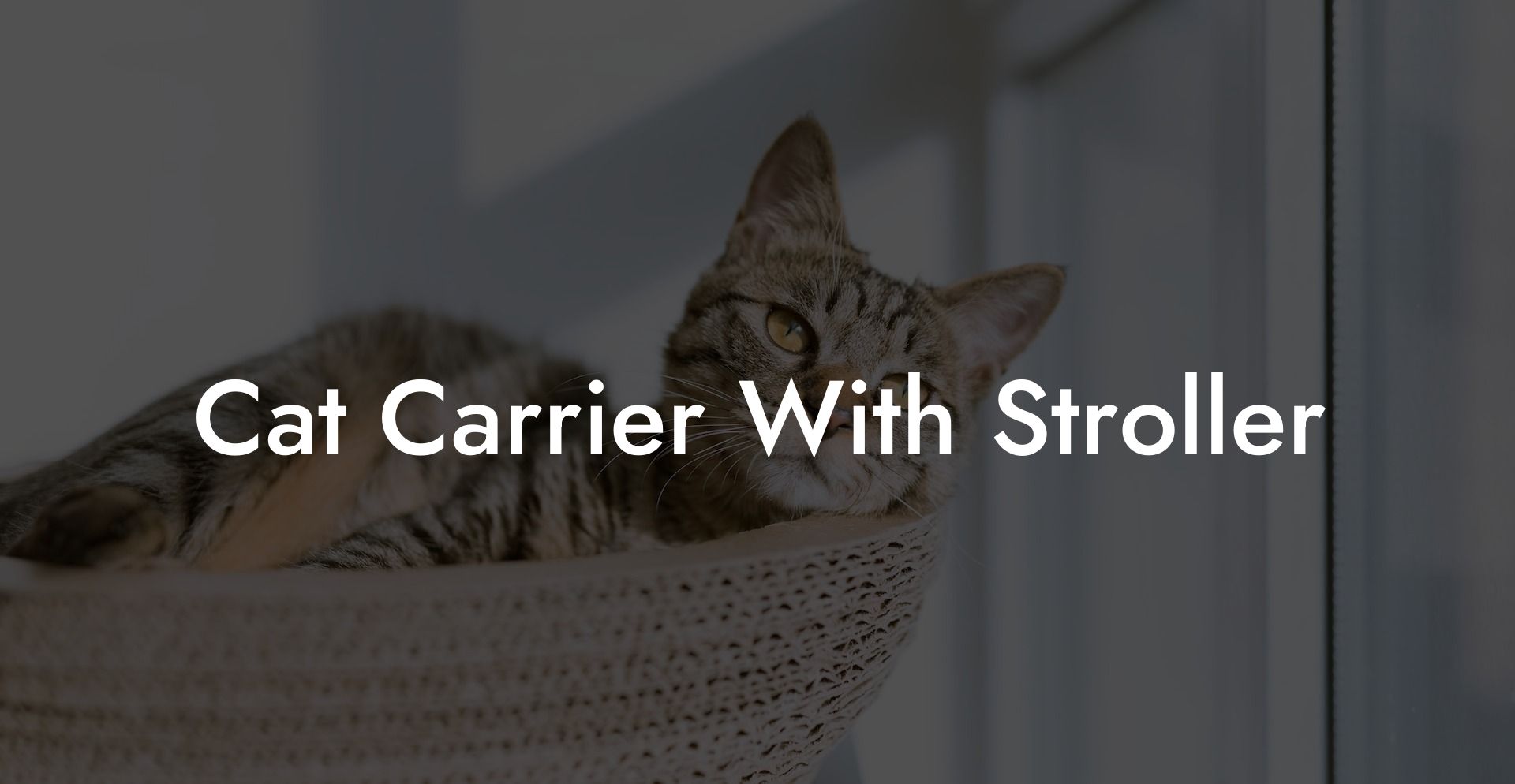 Cat Carrier With Stroller