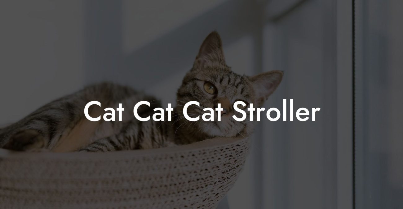 Cat Cat Cat Stroller