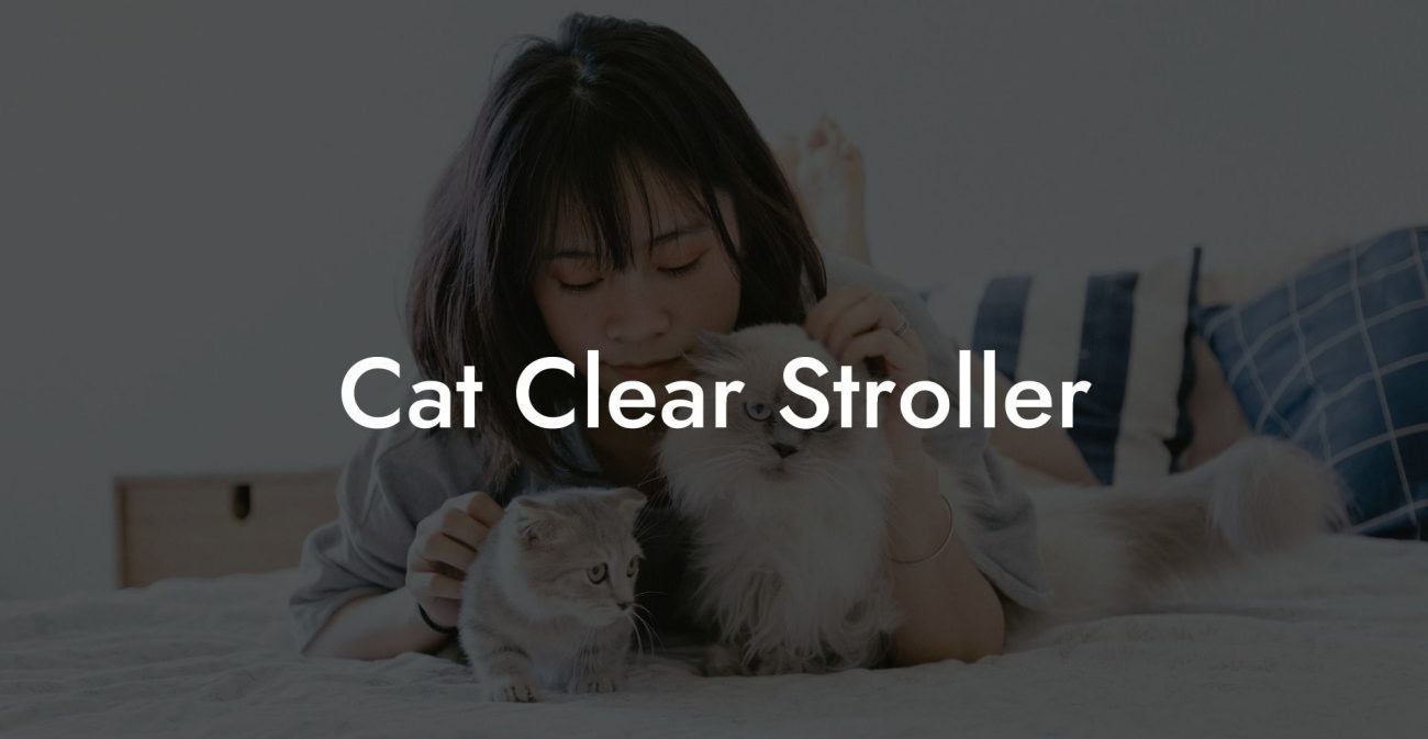 Cat Clear Stroller