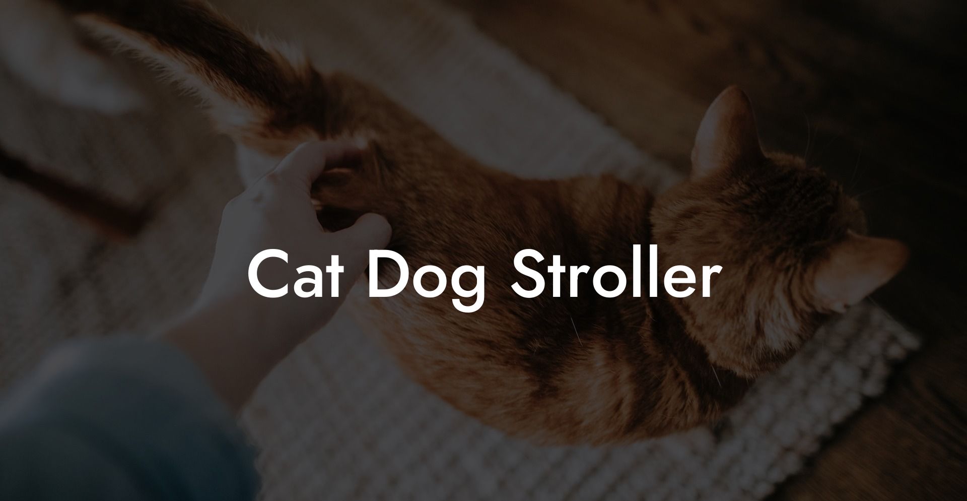 Cat Dog Stroller