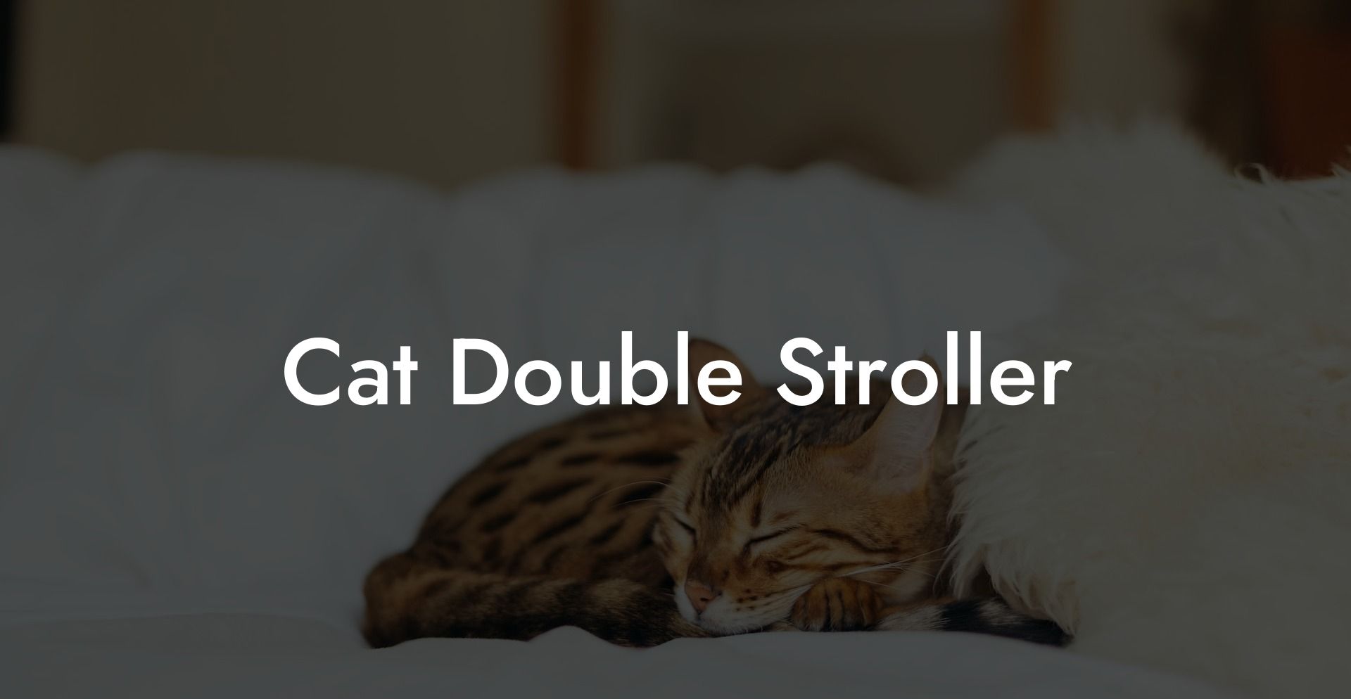 Cat Double Stroller