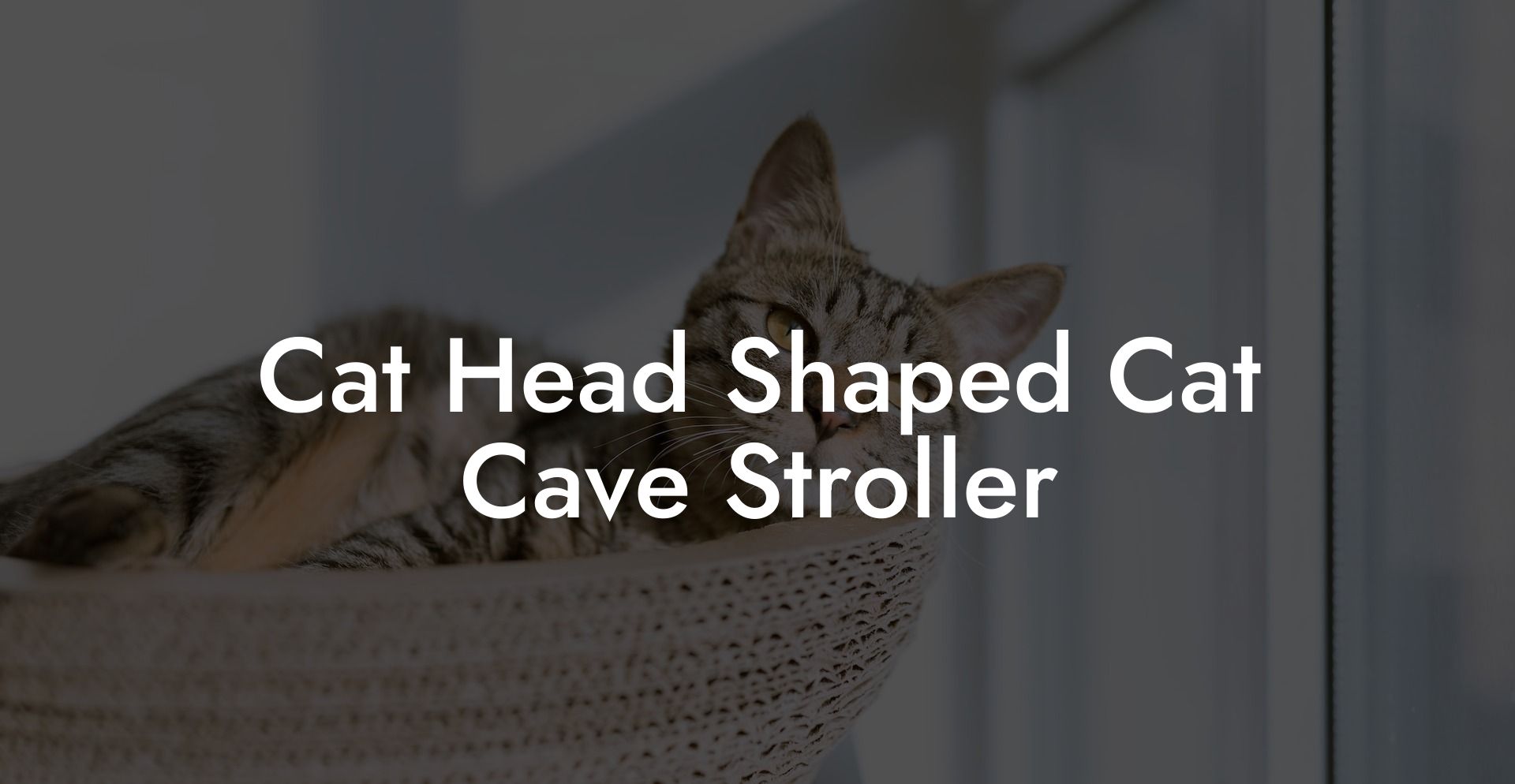 Cat Head Shaped Cat Cave Stroller