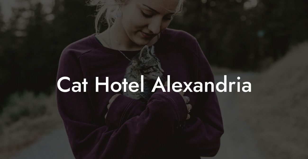 Cat Hotel Alexandria