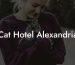 Cat Hotel Alexandria
