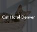 Cat Hotel Denver