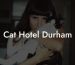Cat Hotel Durham