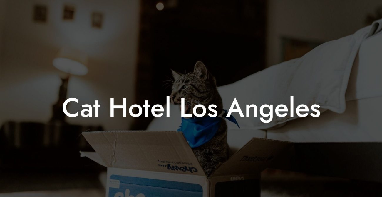 Cat Hotel Los Angeles