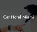 Cat Hotel Miami