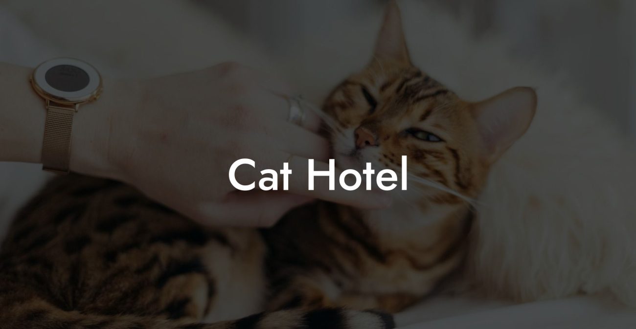 Cat Hotel