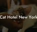 Cat Hotel New York