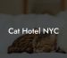 Cat Hotel NYC