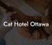 Cat Hotel Ottawa