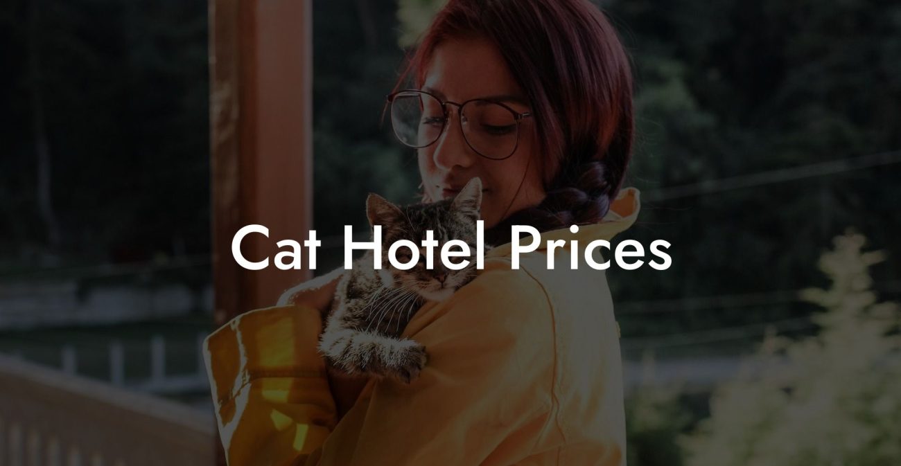 Cat Hotel Prices