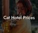 Cat Hotel Prices