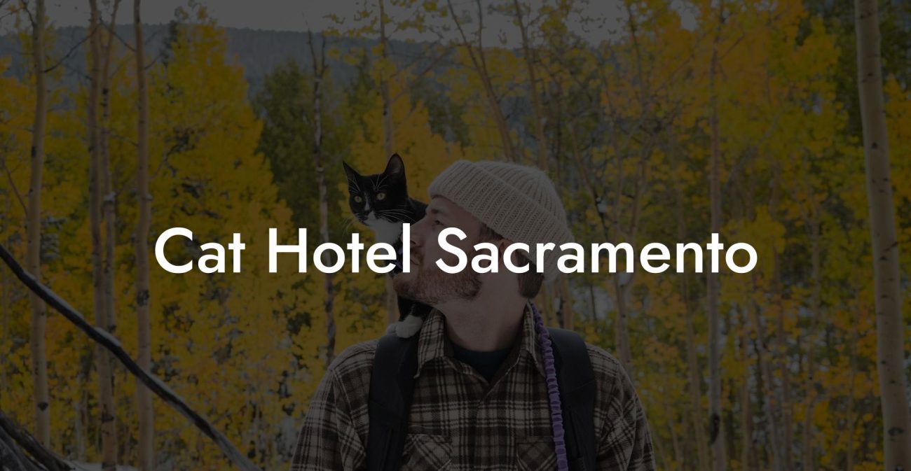 Cat Hotel Sacramento