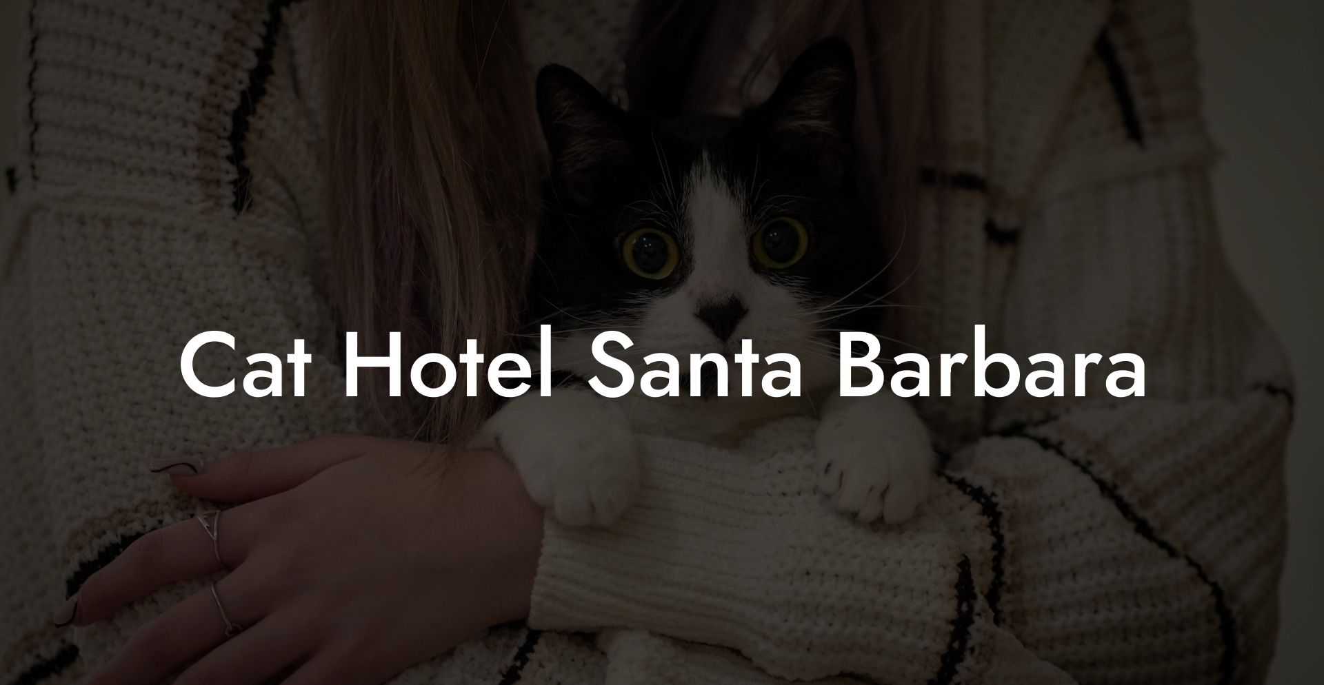 Cat Hotel Santa Barbara