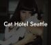 Cat Hotel Seattle