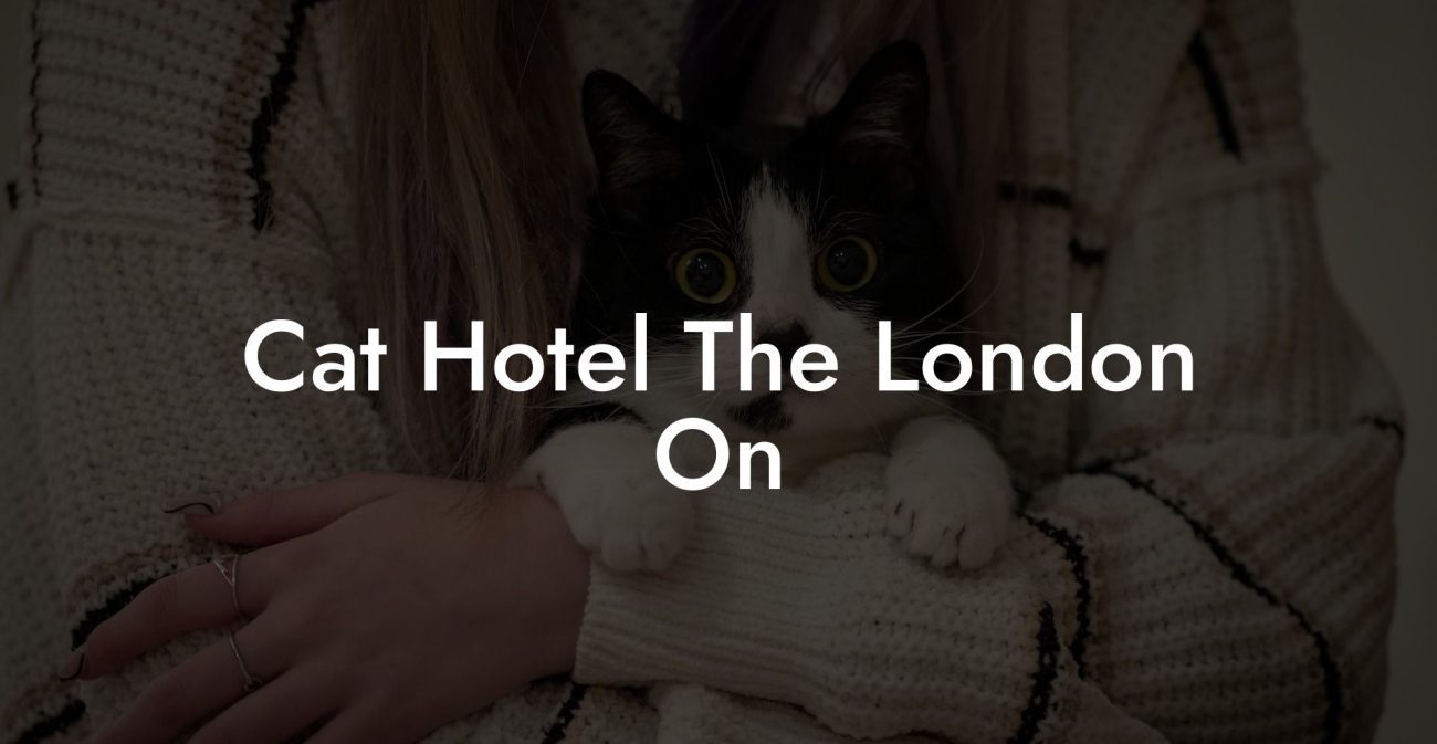 Cat Hotel The London On