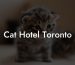 Cat Hotel Toronto