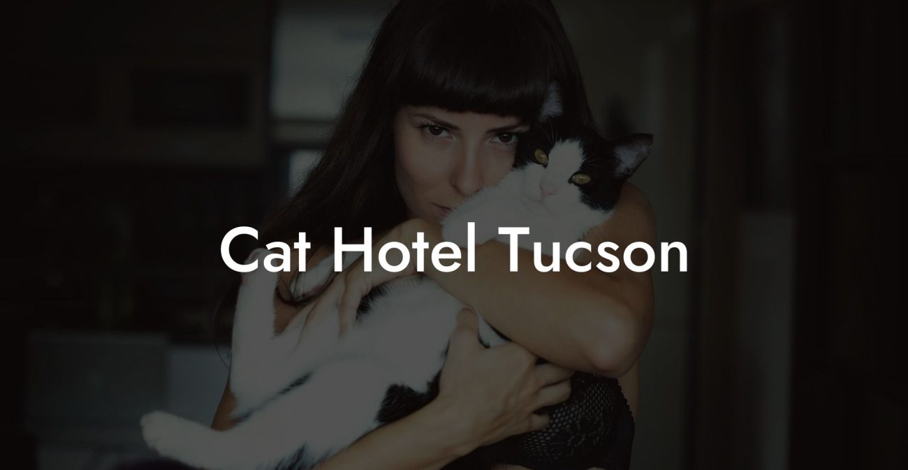 Cat Hotel Tucson