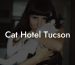 Cat Hotel Tucson