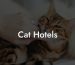 Cat Hotels