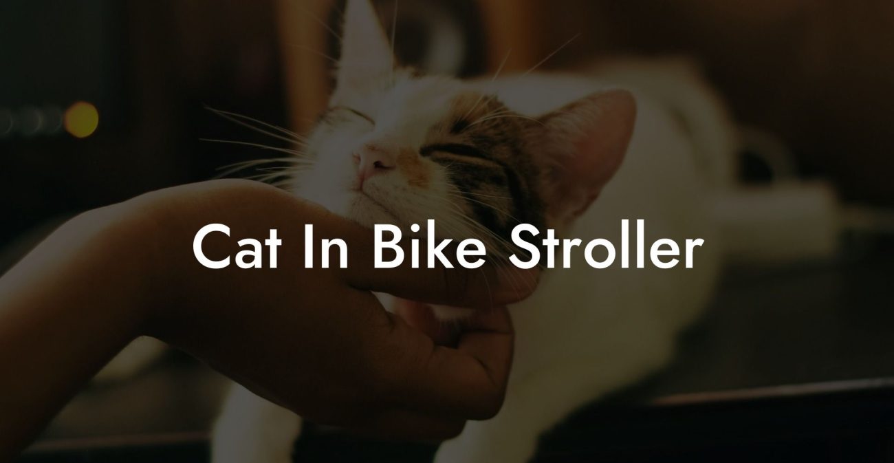 Cat In Bike Stroller