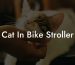 Cat In Bike Stroller