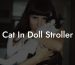 Cat In Doll Stroller