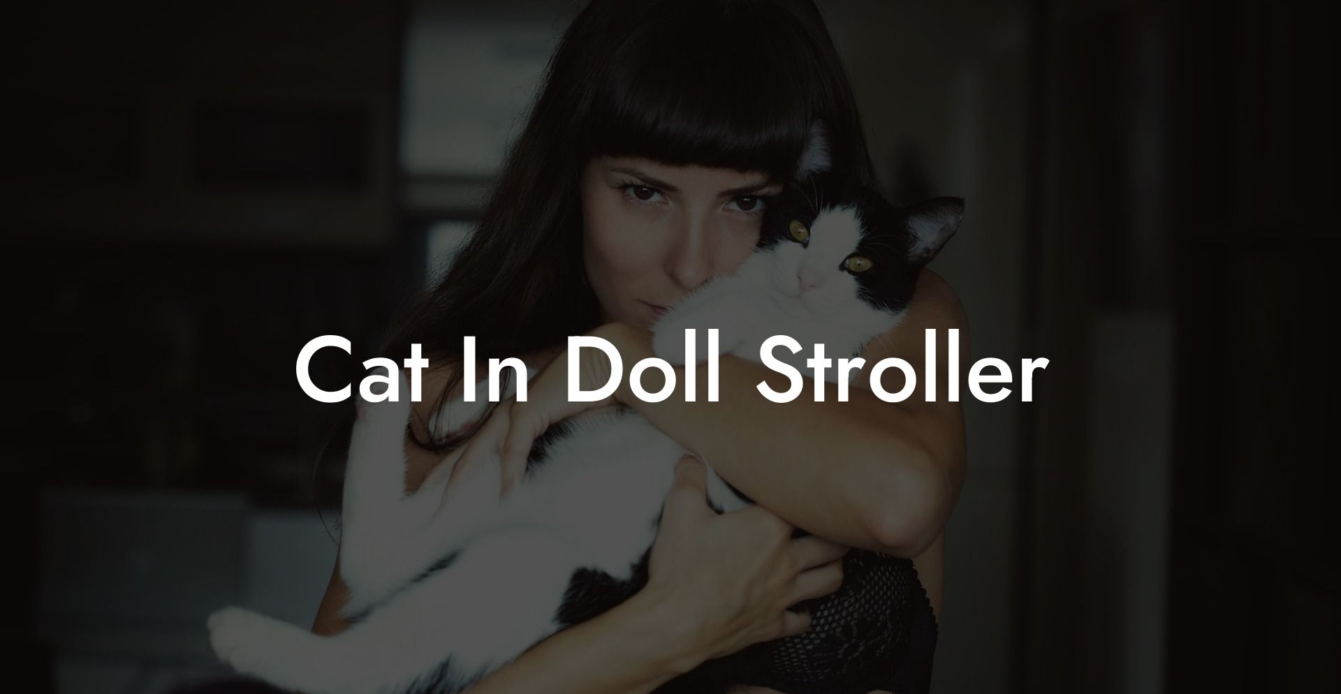 Cat In Doll Stroller