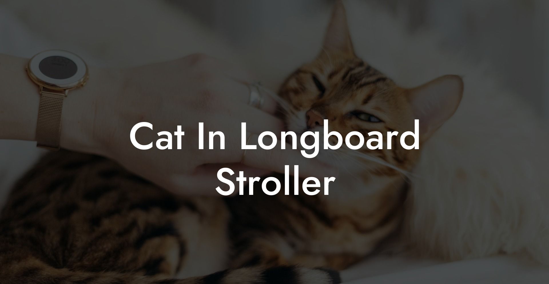 Cat In Longboard Stroller