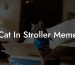 Cat In Stroller Meme