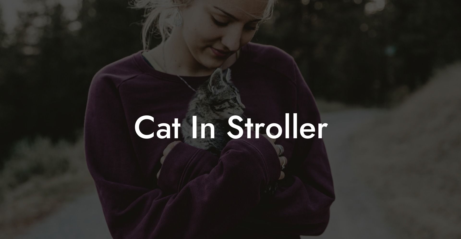 Cat In Stroller