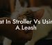 Cat In Stroller Vs Using A Leash