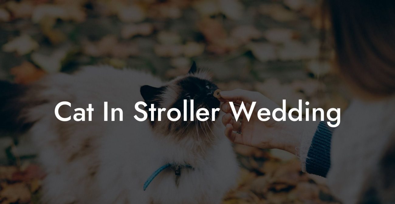 Cat In Stroller Wedding