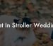 Cat In Stroller Wedding