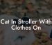 Cat In Stroller With Clothes On