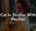 Cat In Stroller With Pacifier