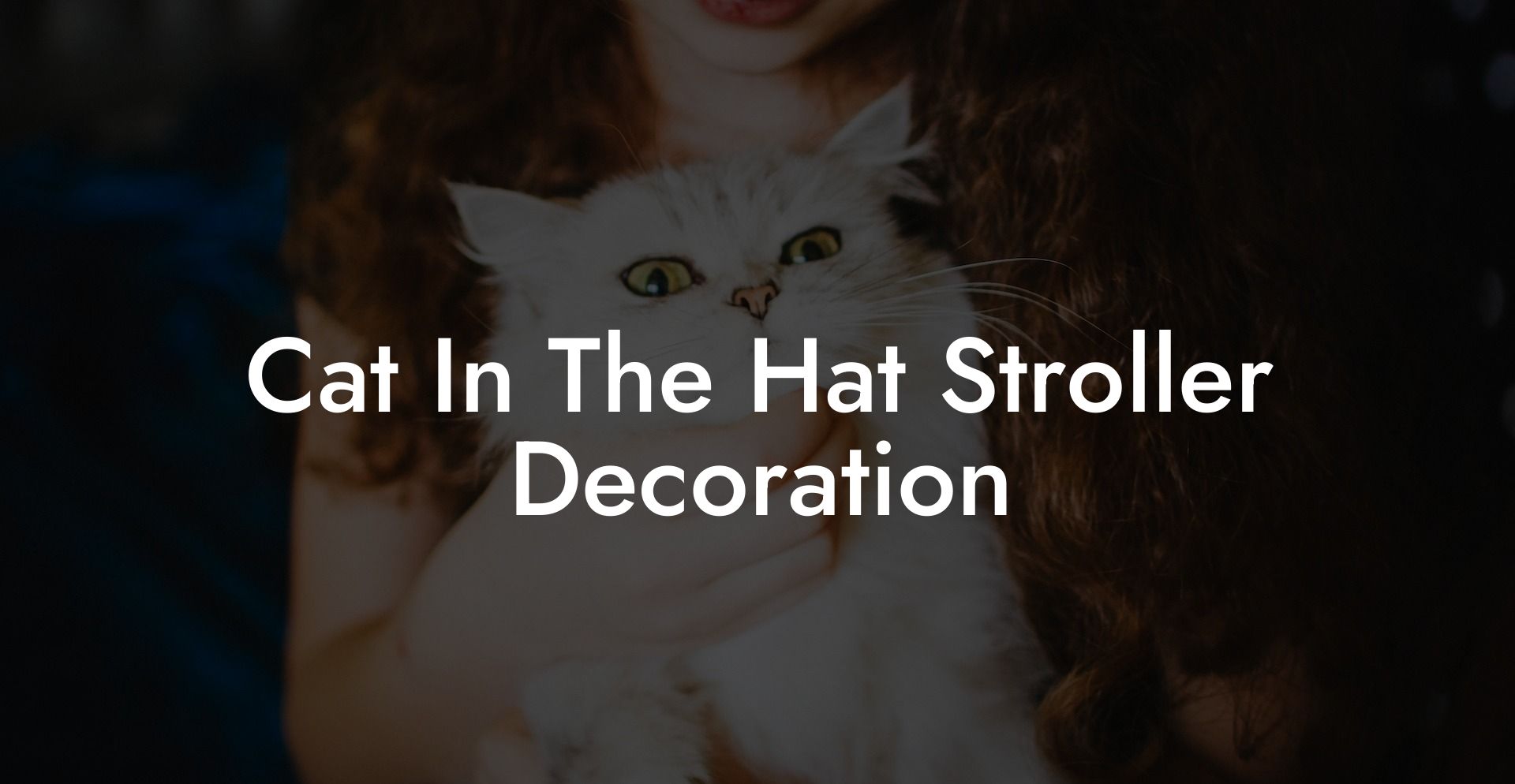 Cat In The Hat Stroller Decoration