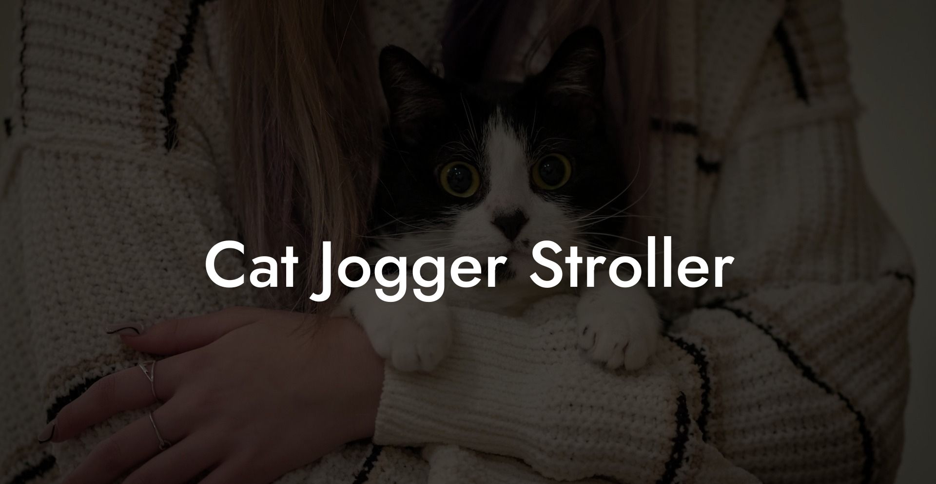 Cat Jogger Stroller