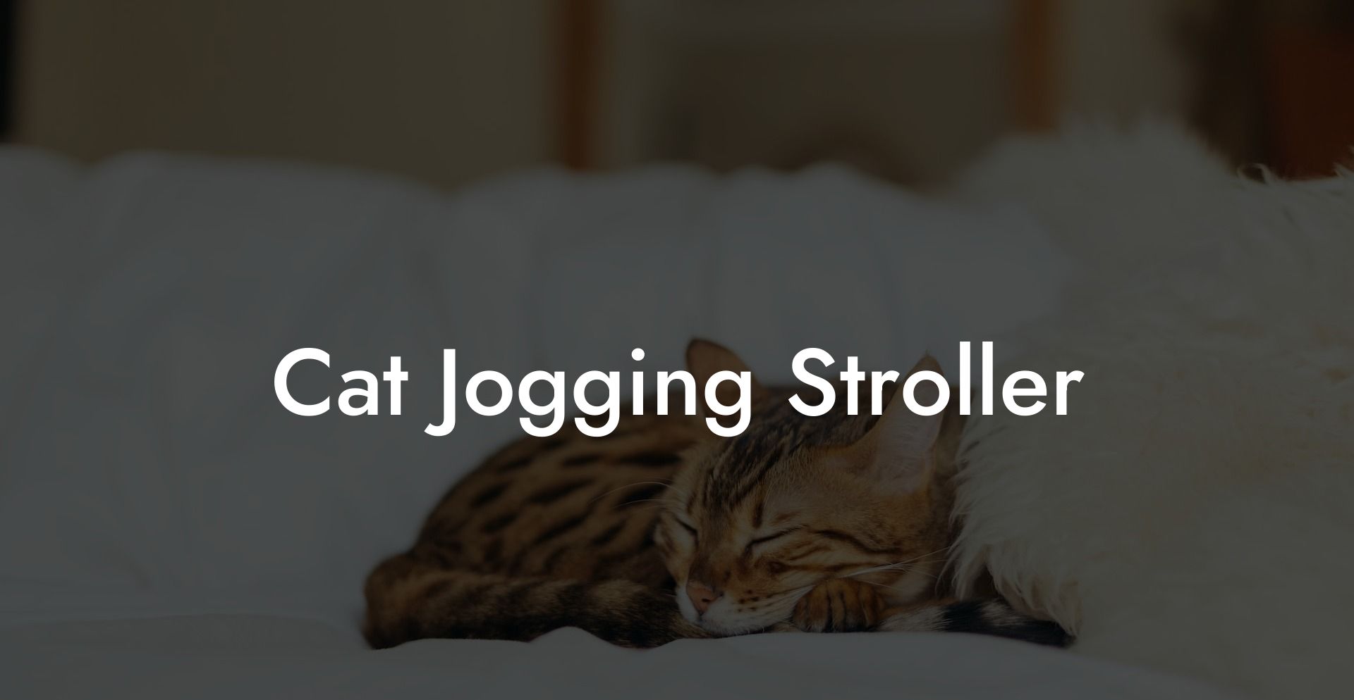 Cat Jogging Stroller