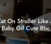 Cat On Stroller Like A Baby Gif Cute Bbc