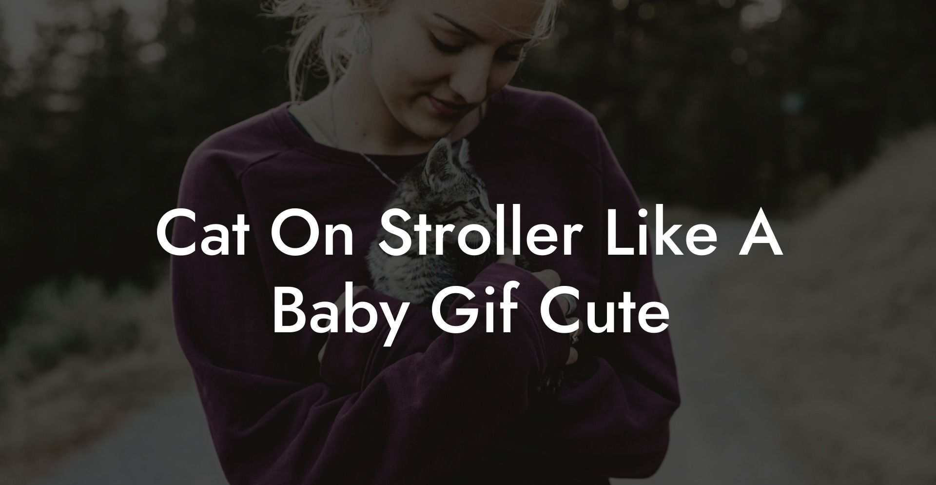 Cat On Stroller Like A Baby Gif Cute
