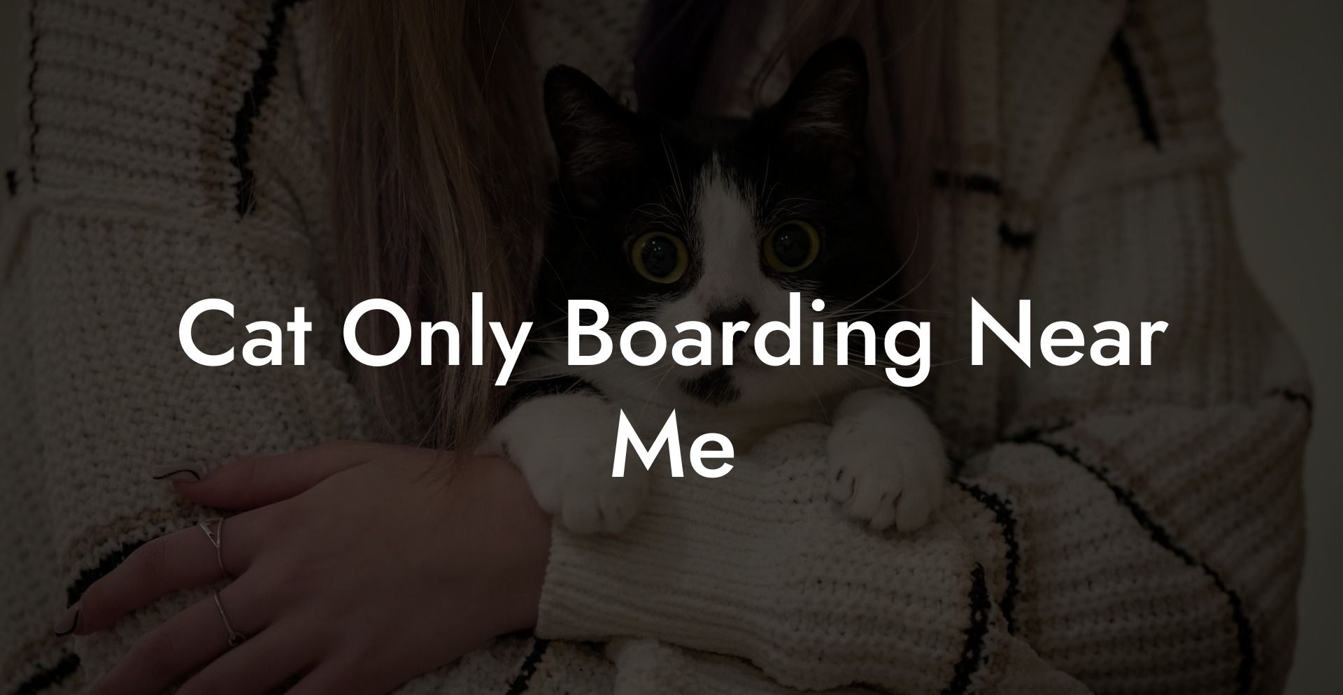 Cat Only Boarding Near Me