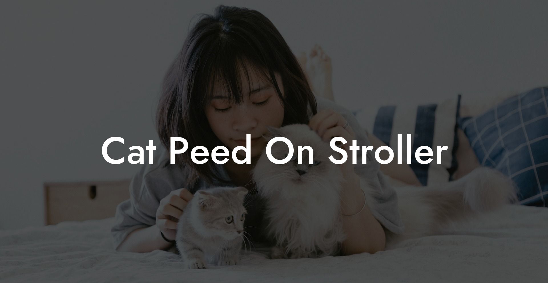 Cat Peed On Stroller