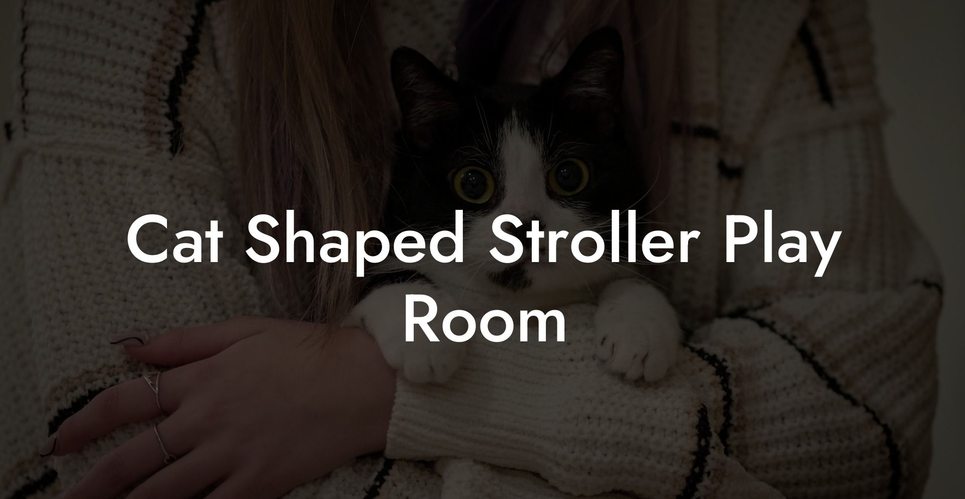 Cat Shaped Stroller Play Room